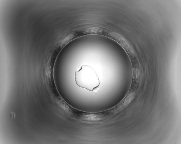 X0000087630326200705101033