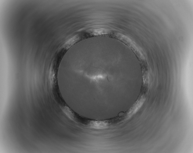 X0000087630327200705101033