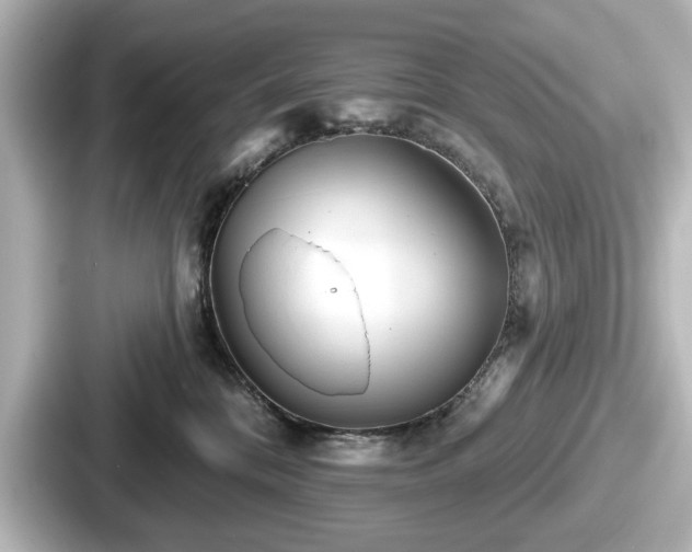 X0000087630328200705101033