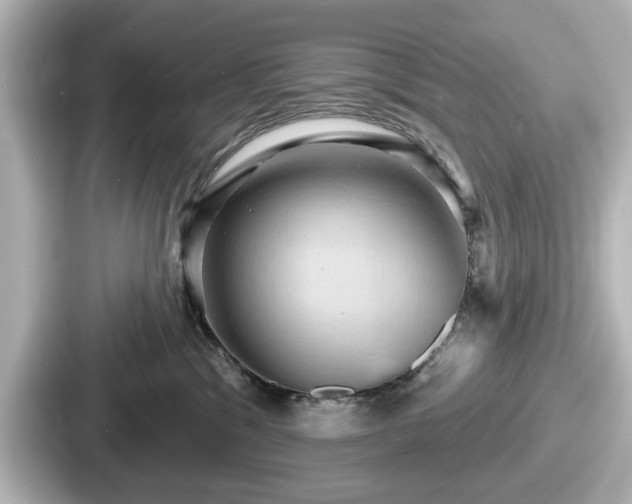 X0000087630329200705101032