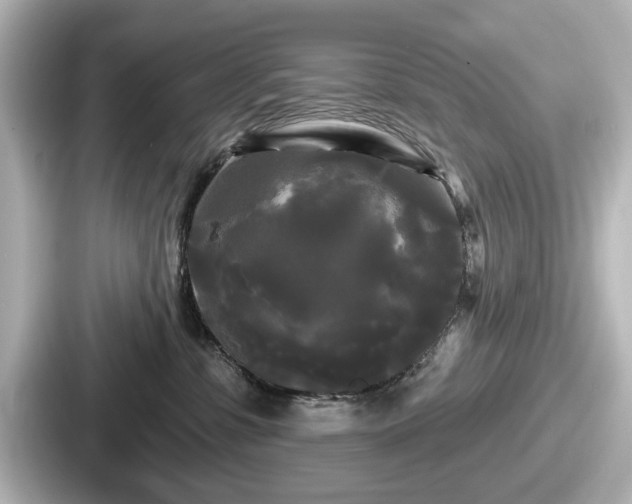 X0000087630331200705101032