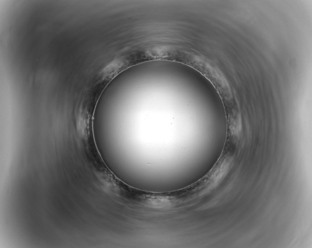 X0000087630332200705101032