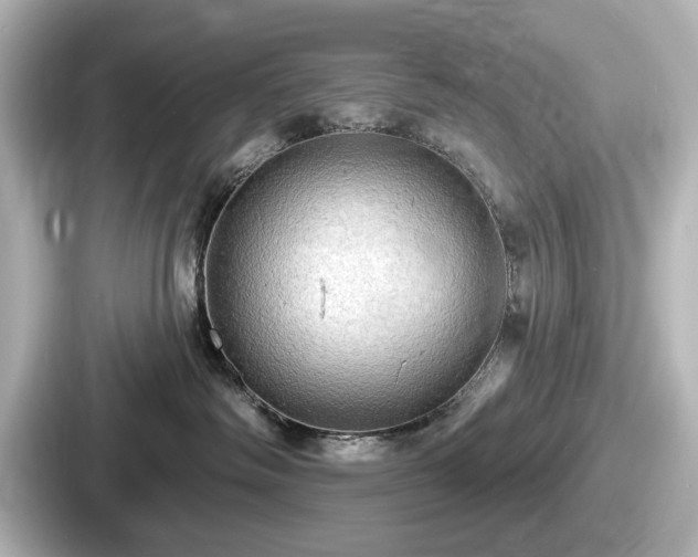 X0000087630334200705101032