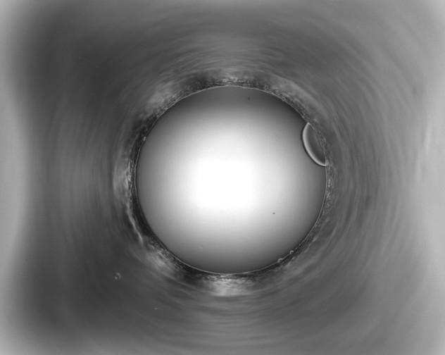 X0000087630336200705101032