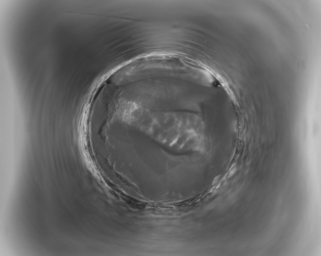 X0000087630337200705101032