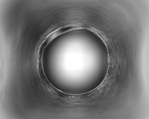 X0000087630338200705101032