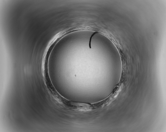 X0000087630340200705101032