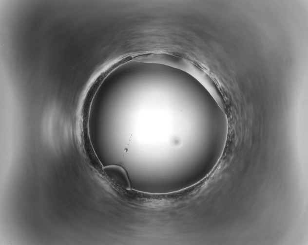 X0000087630342200705101032