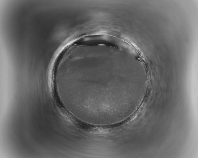 X0000087630343200705101032