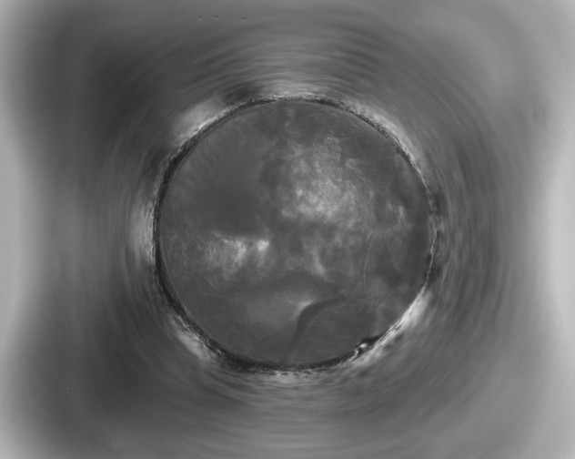 X0000087630345200705101032