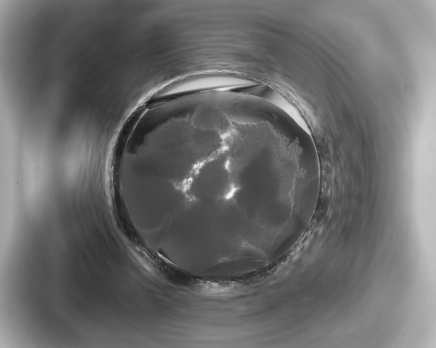 X0000087630346200705101032