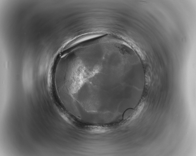 X0000087630347200705101032