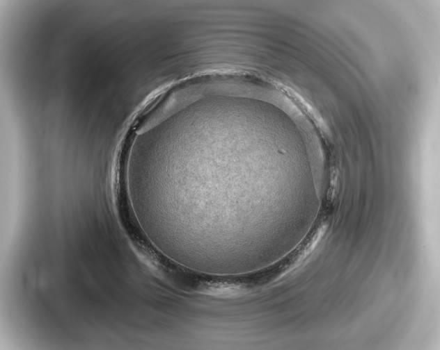 X0000087630348200705101032