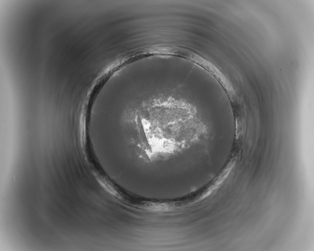 X0000087630349200705101032