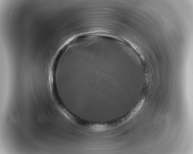 X0000087630350200705101032