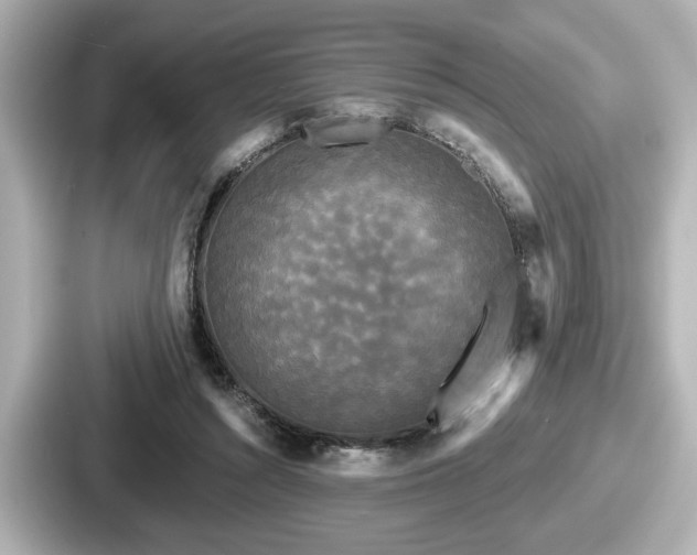 X0000087630352200705101032