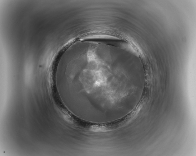 X0000087630354200705101032