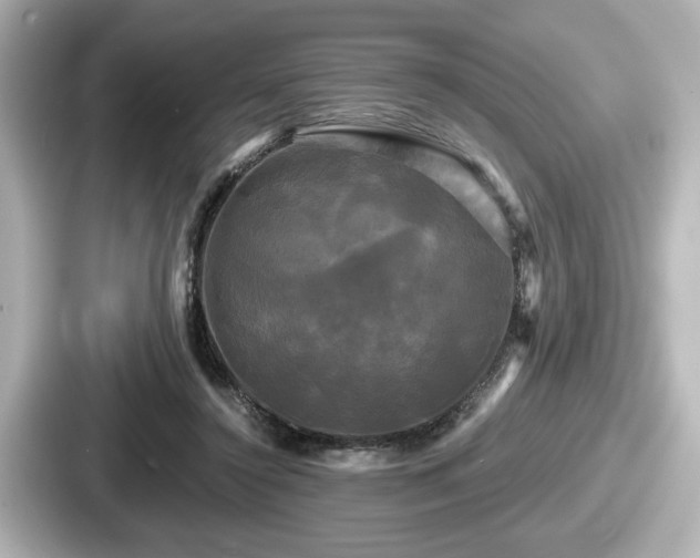 X0000087630356200705101032