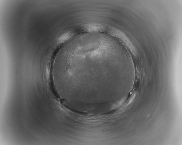 X0000087630357200705101032