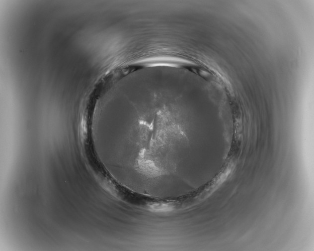 X0000087630358200705101032