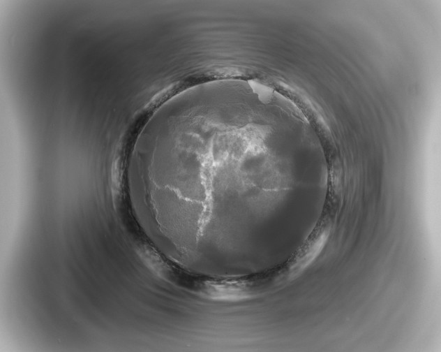 X0000087630359200705101032