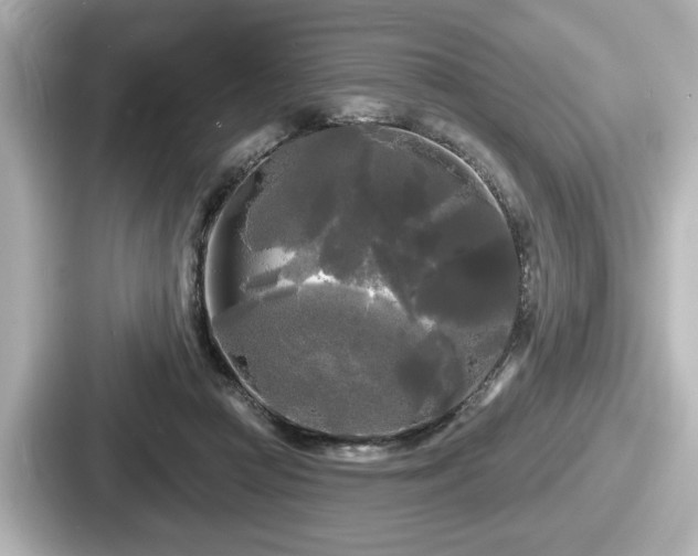 X0000087630361200705101032