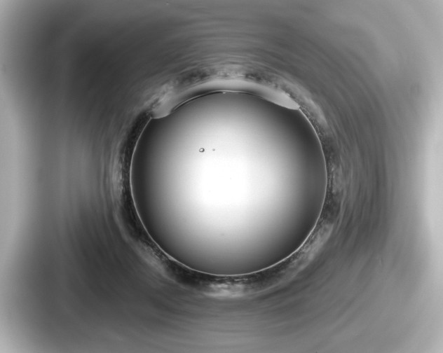 X0000087630362200705101032