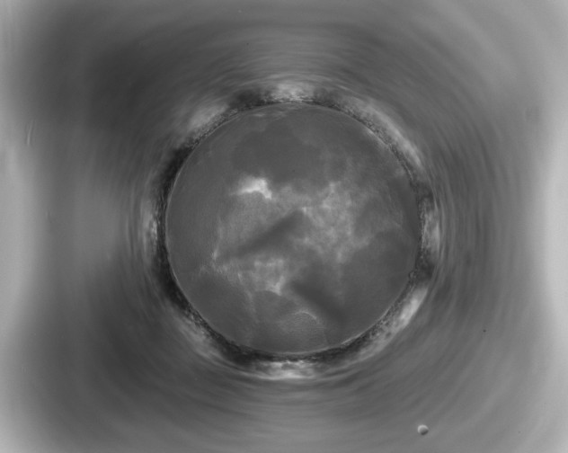 X0000087630363200705101032