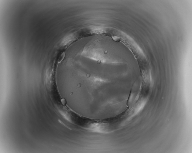 X0000087630364200705101032