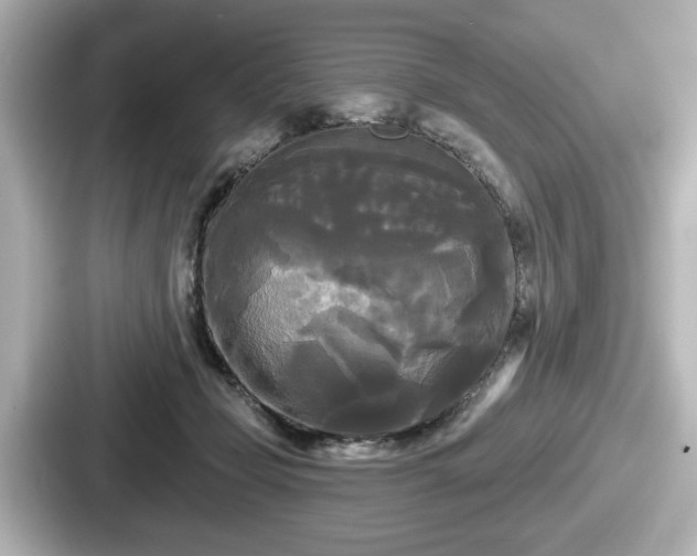 X0000087630365200705101032