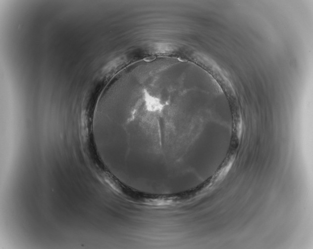 X0000087630366200705101032