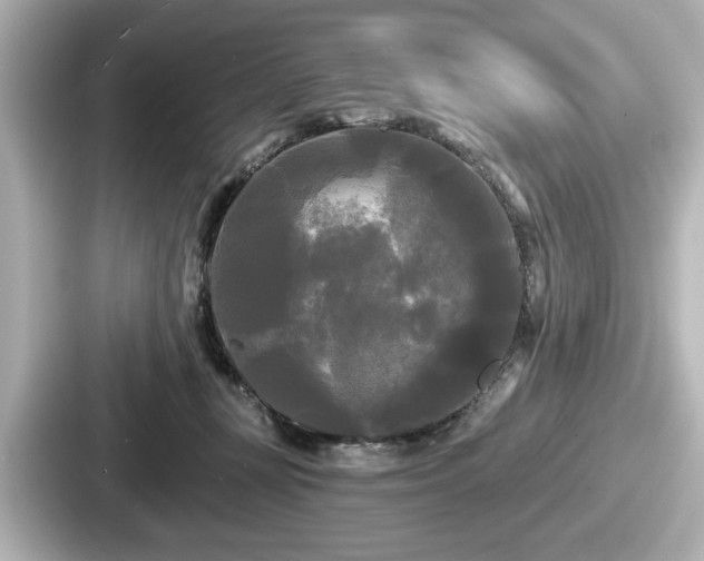 X0000087630367200705101032