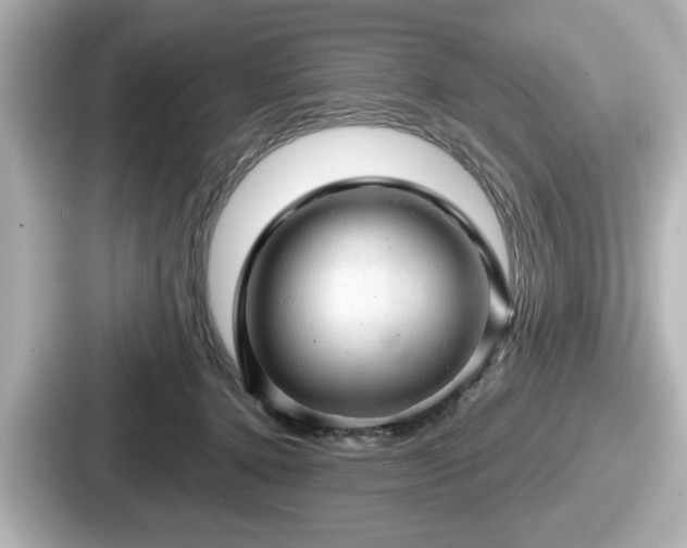 X0000087630368200705101032