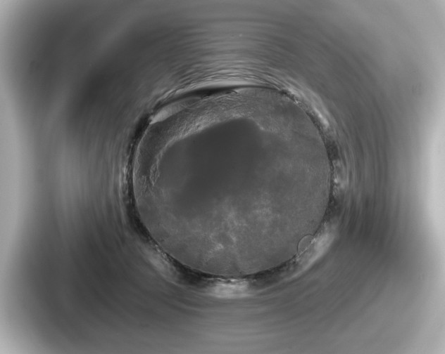 X0000087630369200705101032