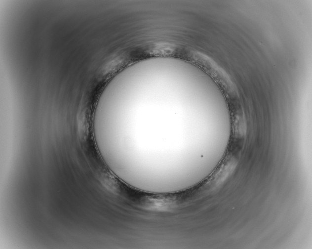 X0000087630370200705101032