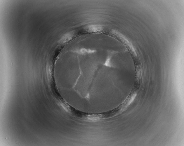 X0000087630373200705101032