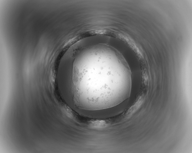 X0000087630374200705101032