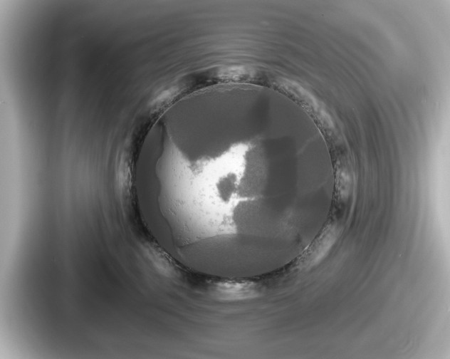 X0000087630375200705101032