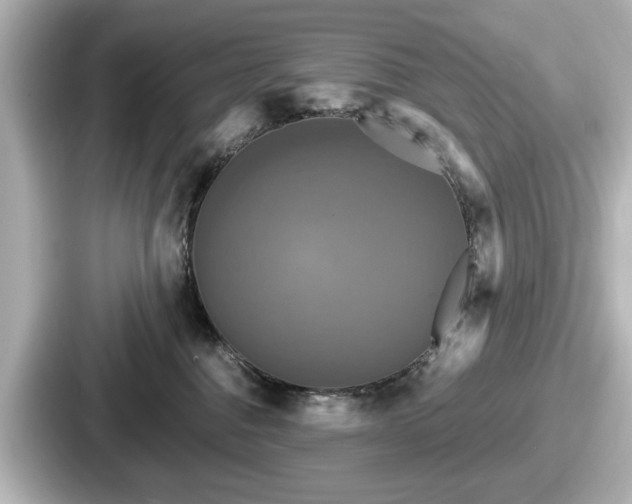 X0000087630376200705101032