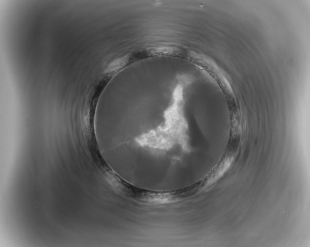 X0000087630377200705101032