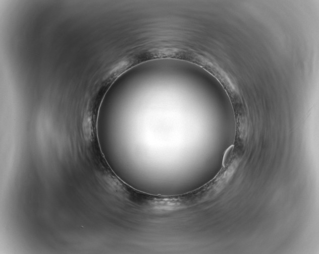 X0000087630378200705101032