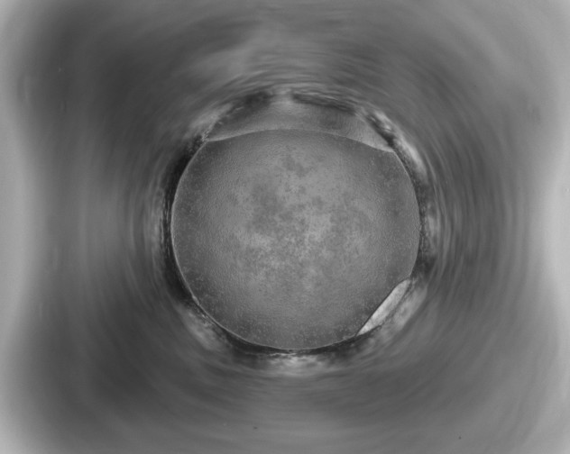 X0000087630379200705101032