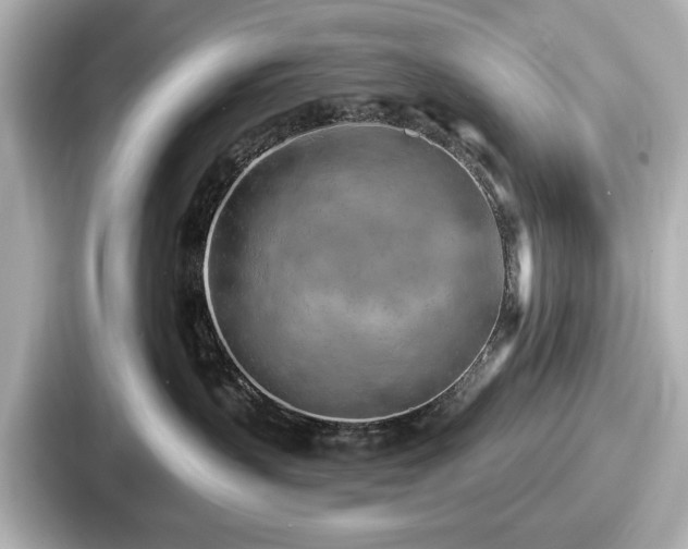 X0000087630383200705101032