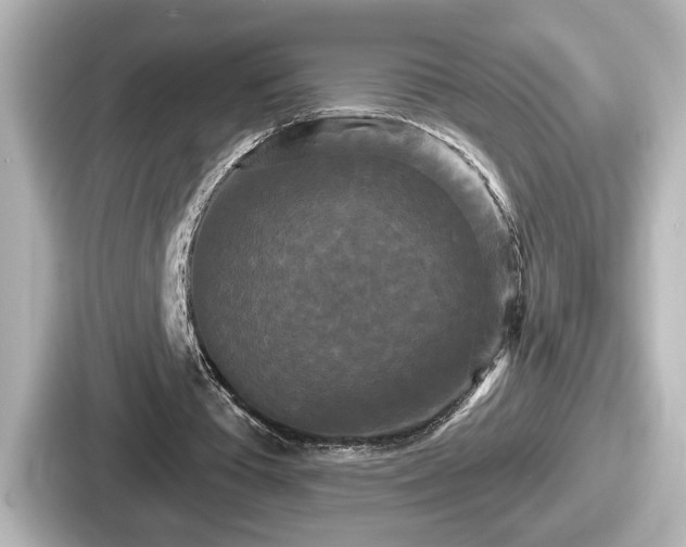 X0000087630385200705101032