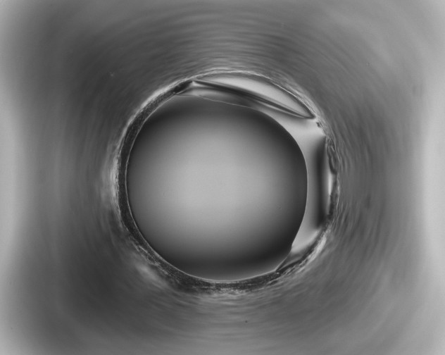 X0000087630387200705101032