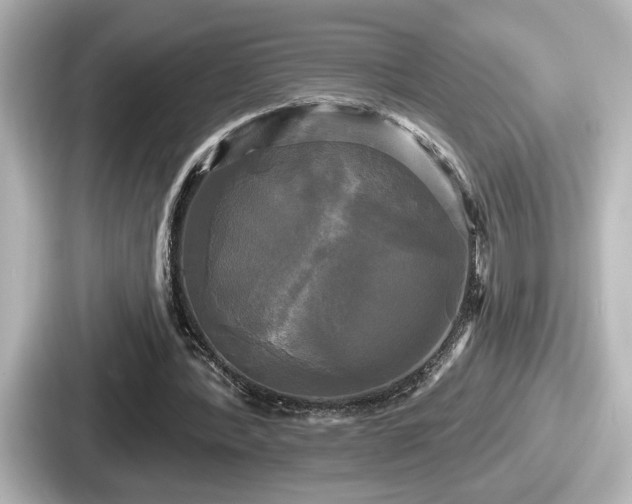 X0000087630388200705101032