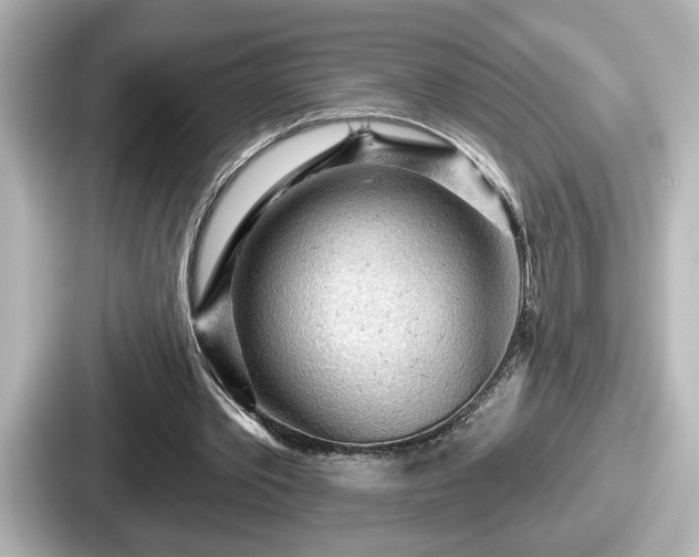 X0000087630389200705101032