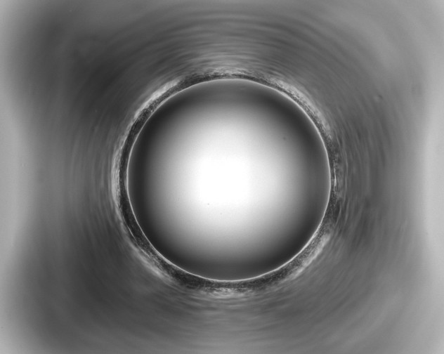 X0000087630390200705101032