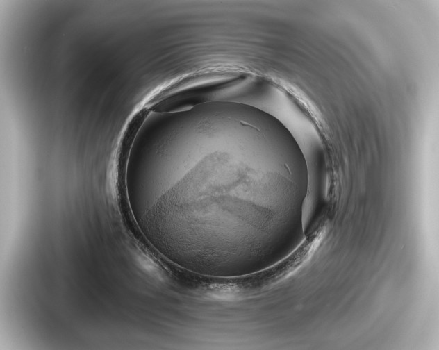 X0000087630391200705101032