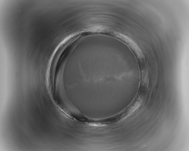 X0000087630392200705101032